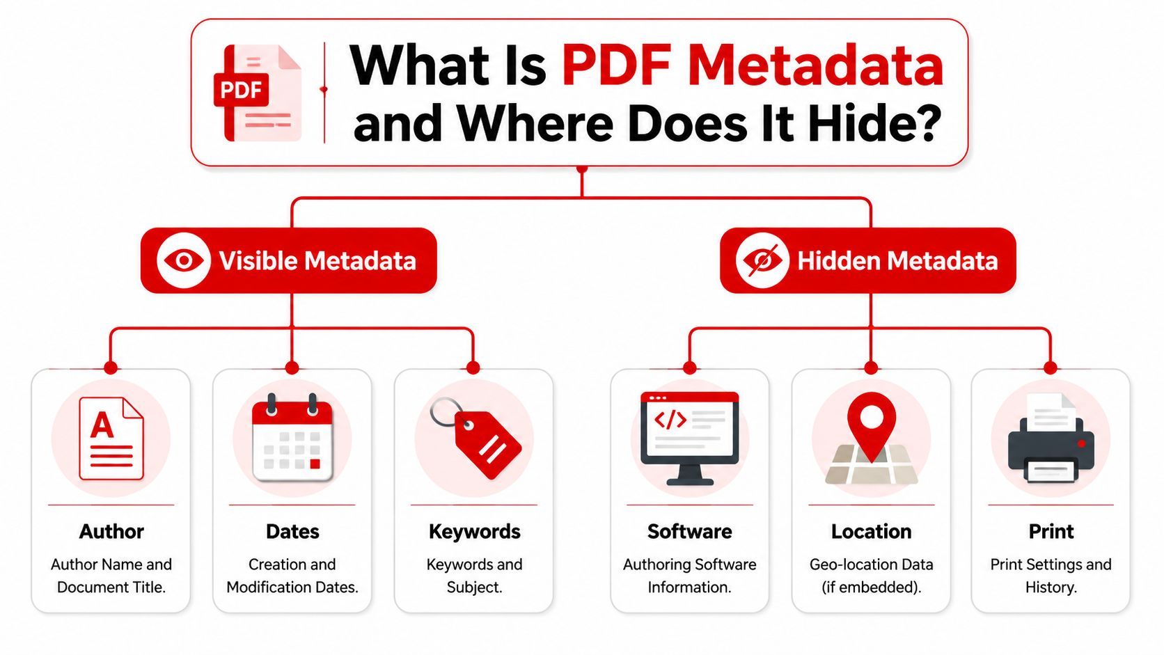 A flowchart infographic explaining the two types of PDF metadata: visible metadata and hidden metadata.